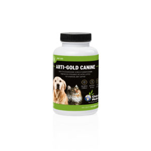 Arti Gold CANINE 126TABL