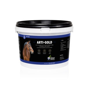 ARTI-GOLD_2,7KG