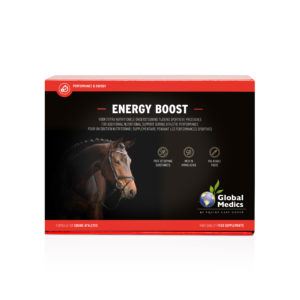 ENERGY BOOST 6X60GR