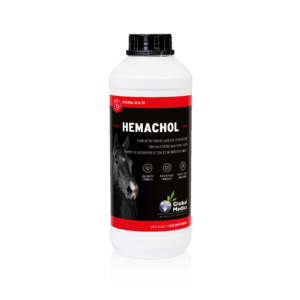 HEMACHOL 1L