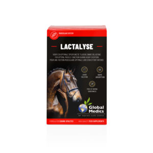 LACTALYSE 400ML