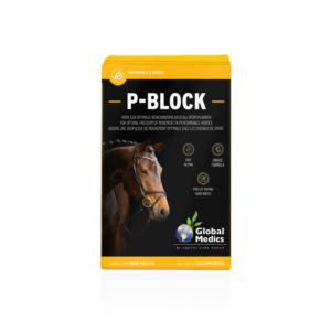 P-BLOCK 10X30GR