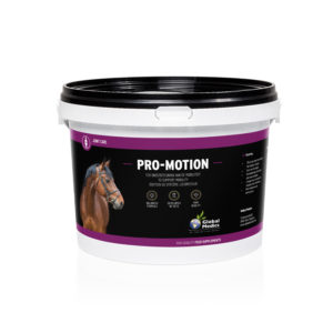 PRO-MOTION 2,7KG