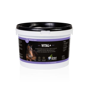 VITAL+ 1KG